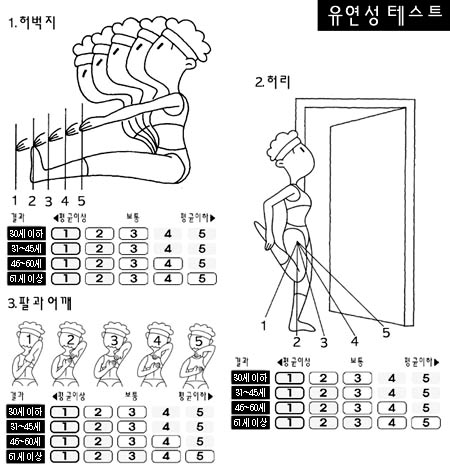 유연성 체력 균형감각 테스트