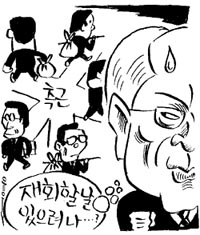 창 측근들 따로따로 행보