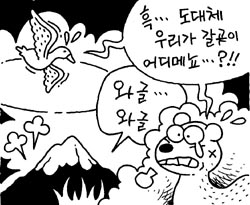 [지방화제] 주산지 야생동물 수난시대