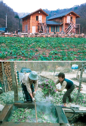 때묻지 않은 곳서 ‘때’를 벗자 - 강원도 오지여행