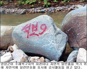 [지방화제] 자연석 밀반출 감시 눈 ‘부릅’