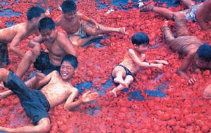 [지방화제] 토마토 바다에서 헤엄쳐요