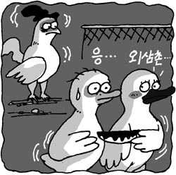광주 불륜 살인 풀스토리 - 외삼촌과의 ‘지독한 사랑’ 참혹한 결말