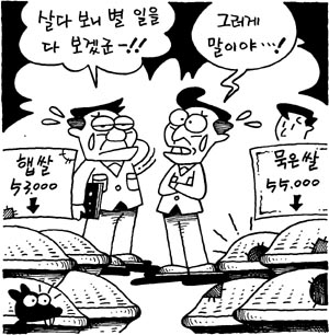 [지방화제]  최고 2천원 높게 가격 형성…일조량 부족 냉해로 햅쌀 품질 하락