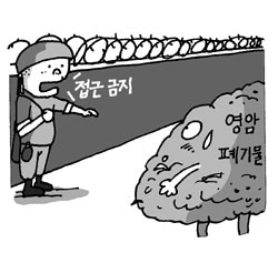 [동네방네] 쓰레기처리장 부지 6만여평 사고보니 군사보호구역