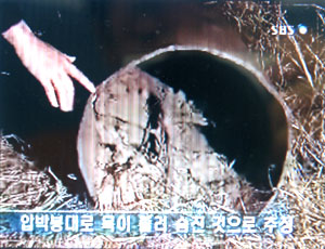 화성연쇄살인 빼닮은 수원 부녀자 피살 전모