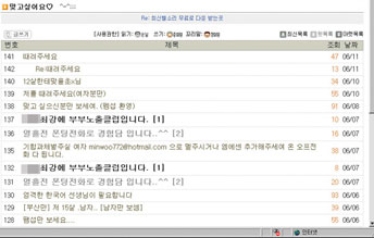 인터넷 SM카페 실태