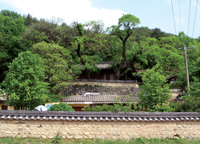 [Enjoy금토일]경주 양동마을