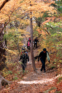 전국 유명산 단풍시기·첫단풍 예상도