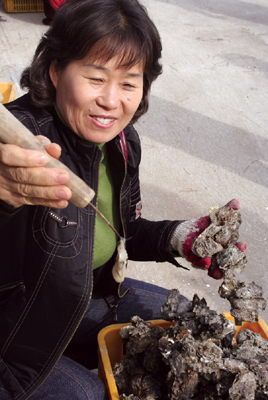 [충남 태안] 볏가리 마을