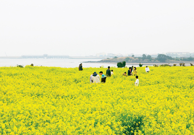 제주 삼색풍경