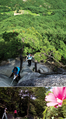 충북  영동 천태산