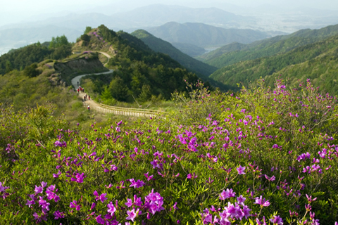 지리산 바래봉 철쭉산행