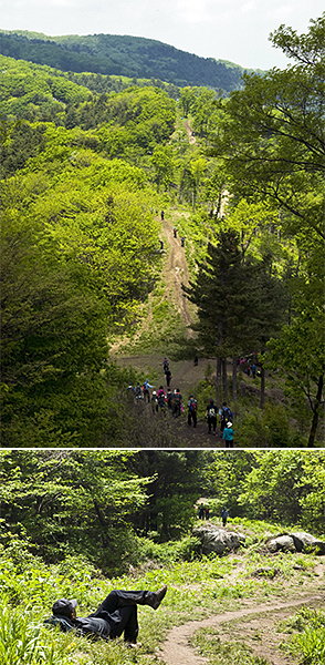 [경기도] 축령산 신록산행