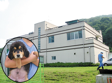 ‘연구 불허’ 황우석 박사, 믿는 구석 무엇
