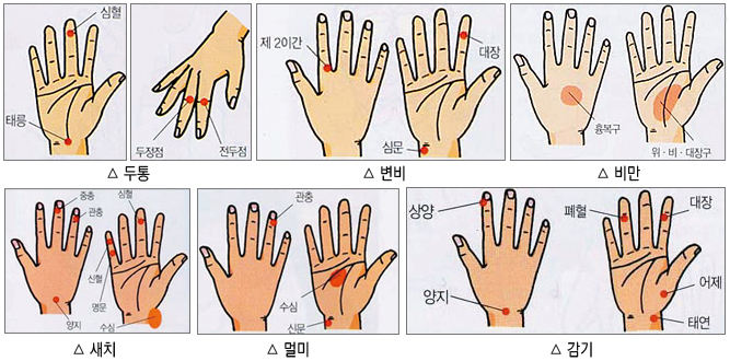 손쉬운 손마사지 법