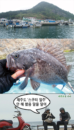 여행 버라이어티 팀이 꼽은 베스트 휴가지