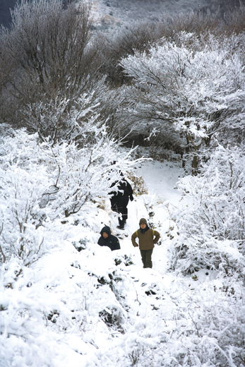 제주 절물자연휴양림 트레킹