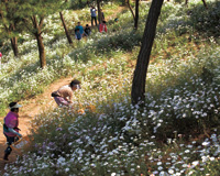 충남 공주 금강변의 가을풍경