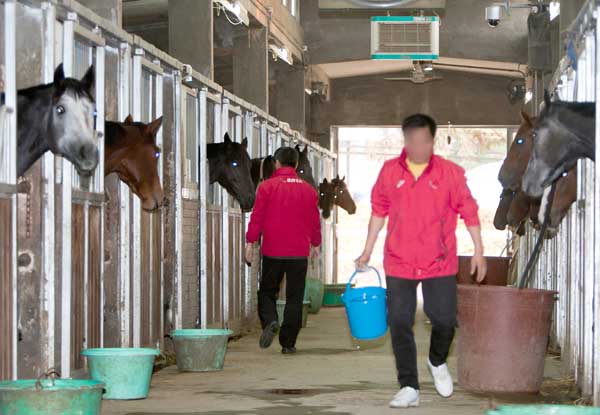 한 마필관리사의 자살 부산경마공원 ‘패닉’