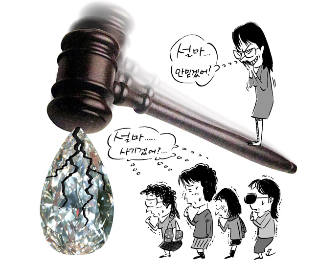 전직 부장판사 부인 100억대 사기사건 전말
