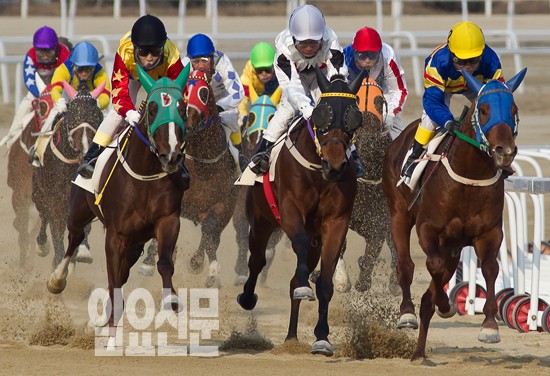 경마장가는길..!!