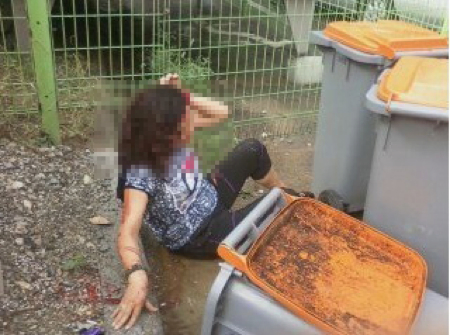 '인천캣맘 폭행사건' 길고양이 먹이 줬다가 봉변