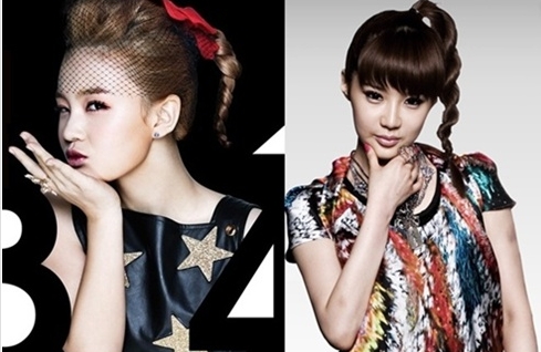 '이하이 허수아비 VS 박봄 허수아비(Scarecrow)' 네티즌 비교 시작