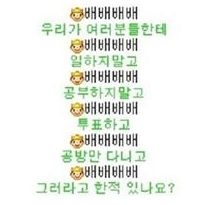 예은 해명 '선예 결혼에 충격받은 팬들 다독이려다…'