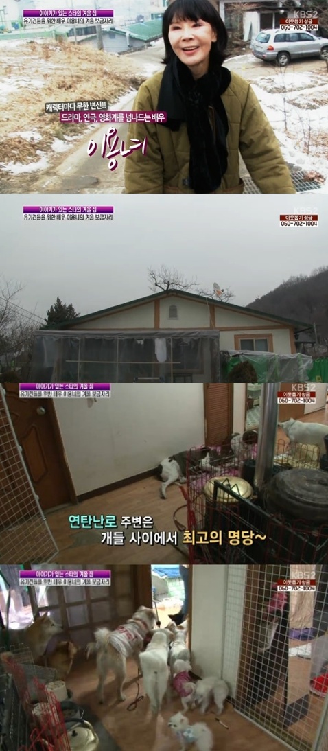 이용녀 집공개, 유기견 20마리와 동거중 "집 안팎이 개판? 행복해요"