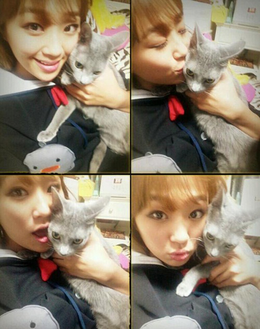 효린, 고양이 셀카 사진 공개..."고양이가 부러울 뿐"