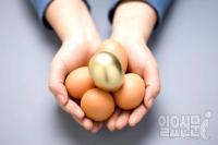 [증시 인사이드] 대기업 ‘곳간 사정’과 투자전략
