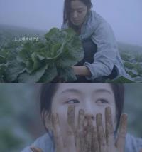 전지현 배추밭, 김치 담그기 위해 직접 배추 수확 '몰두'