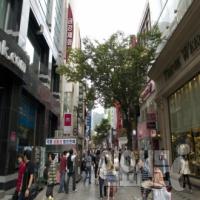 250만 명 개인신용등급 회복 빨라진다