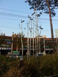 영등포구 문래동 사거리에 ‘솟대’ 설치