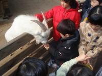 서울어린이대공원 ‘겨울방학 동물교실’ 개설