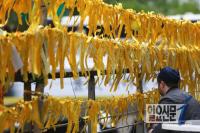 경찰 “‘노란 리본’ 시민들은 차단하라” 내부 지침 논란