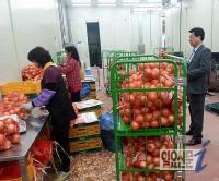 용인 농산물산지유통센터, 농가 판매 부담 줄여