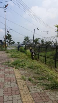 인천항만공사, 북항 보안울타리 경계 제초작업 완료
