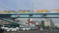인천시, 도로변 가로수·신호기 불법 현수막 등 집중단속