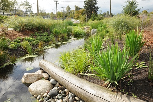 수원시, 도시 사막화 방지 위한 ‘레인가든(Rain garden)’ 조성
