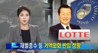 금감원, 재벌총수 등 거액 외화 반입 조사…롯데·대아·빙그레 등 '충격'