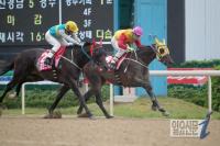 국산마 ‘한강의기적’, 59kg 이겨내며 통산 10승 달성 