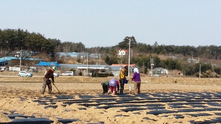 4월 봄마중,건봉사 부처님 진신사리를 친견하다