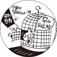 부대사업 고민에 빠진 카드사들