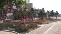 대구시, 학교 유휴공간 활용해 ‘명상 숲’ 조성