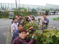 강동구 도시관리공단, 주차장 녹지공간에 포도재배… 중학생 교복 지원