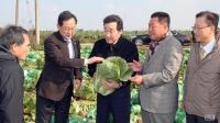 이낙연 전남지사, 가을배추 전국 최대 생산지 해남 찾아...“병해충 등 관리철저” 당부