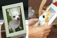 일본 반려동물 3D 초상화