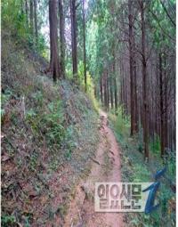 고흥 나로도 편백숲, 남도 산림문화자산 지정